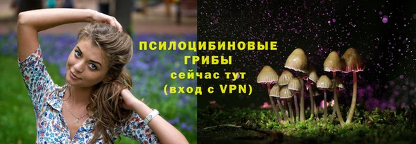 не бодяженный Баксан